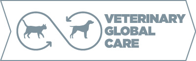 Afbeelding-Veterinary-global-care.jpg