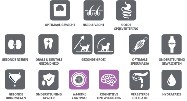 Afbeelding-gezondheidsvoordelen-600px.jpg