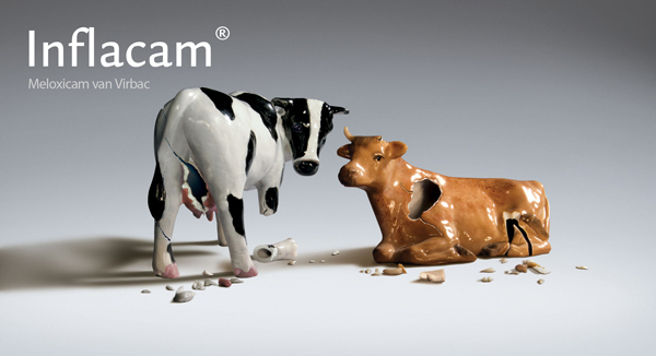 Inflacam_visual_rund_website.jpg