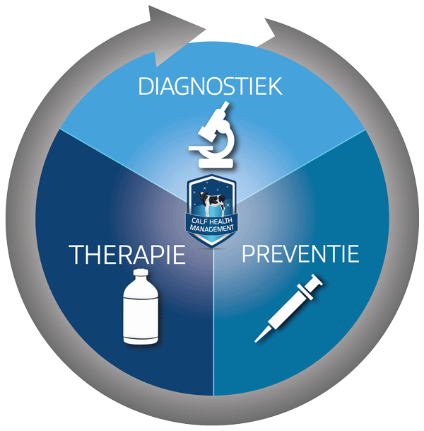 BS-1Shot-CHM-Cirkel-Diagnostiek.png