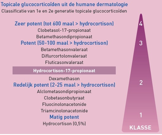 Klasse-indeling febr 2016.jpg