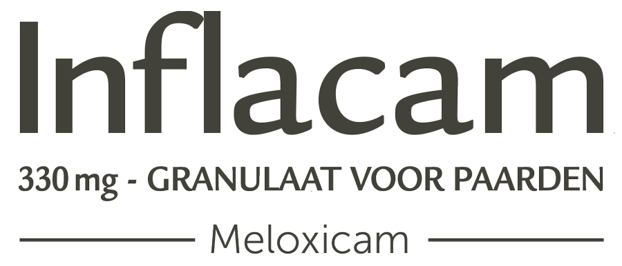 Inflacam-granulaat-logo-grijs.png