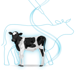 BS-1Shot-Calf.copy.png