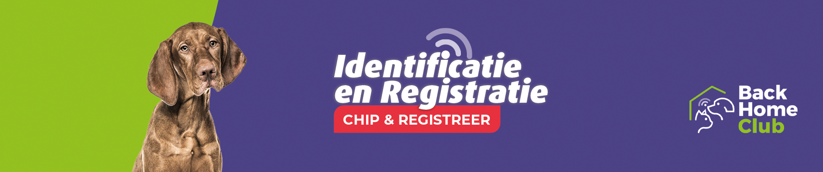 Banner_BHC_WEB2_1650x345.png