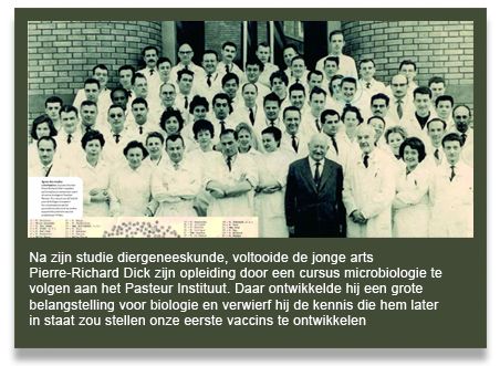 NL_image-ecole.jpg